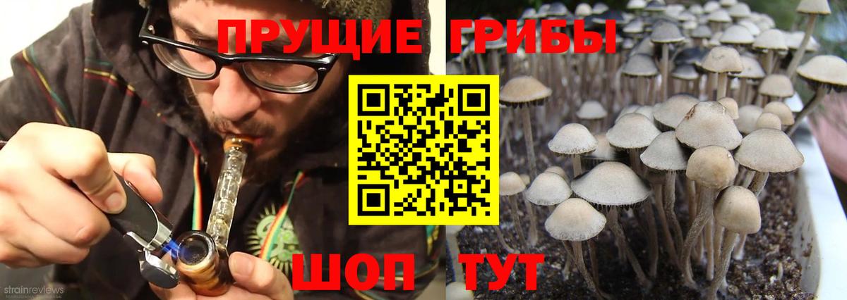 Галлюциногенные грибы Magic Shrooms  Вход с VPN  Псилоцибиновые грибы Psilocybine cubensis  Когалым 