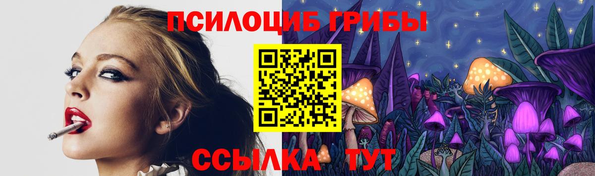 Псилоцибиновые грибы мицелий Когалым